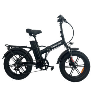 Indigo-E-bike