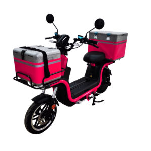 INDIGO-ES-1011（Lead-acid）