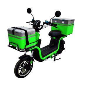 INDIGO-ES-1011(Li-ion）